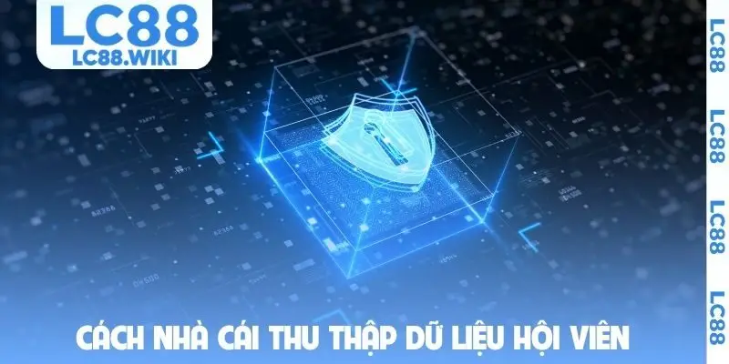 Cách nhà cái thu thập dữ liệu hội viên