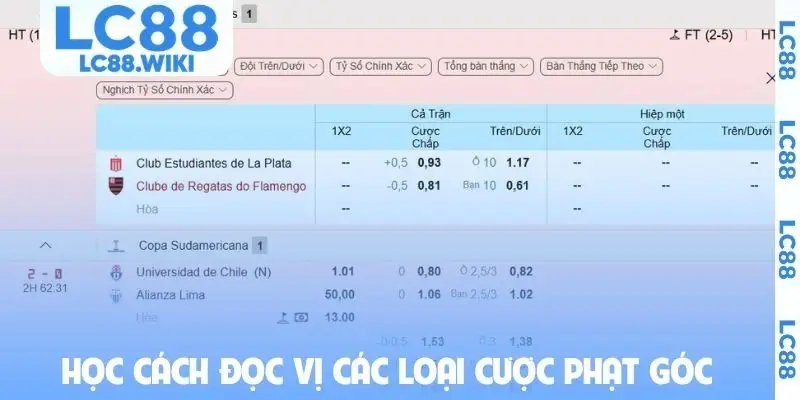 Học cách đọc vị các loại cược phạt góc